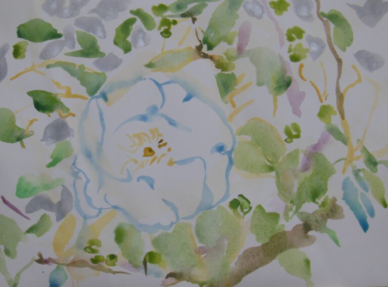 椿の美しさをシンプルにワトソン紙に京都の顔彩で描いた作品です。